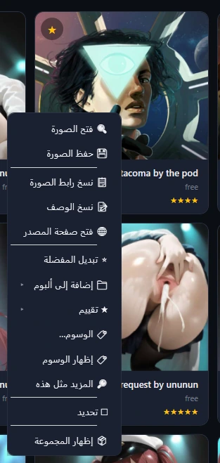 قائمة بطاقة الصورة بعناصرها الثلاثة عشر، من «فتح الصورة» إلى «إظهار المجموعة».