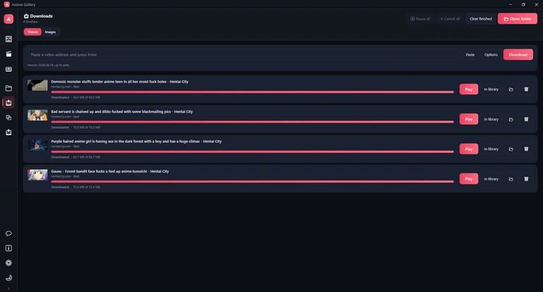 The Downloads page, Videos tab: the address box with Paste, Options and Download, the tool status line, and four finished video rows.