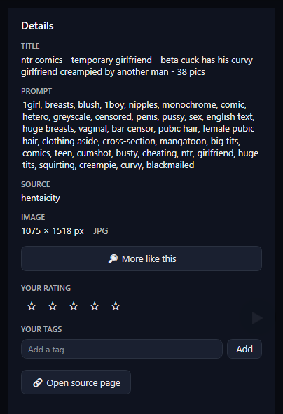 The details panel: Title, Prompt, Source, Image 1075 × 1518 JPG, More like this, the rating stars, the tag box and Open source page.