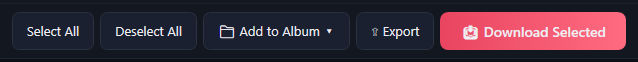 Select All, Deselect All, Add to Album, Export and Download Selected.