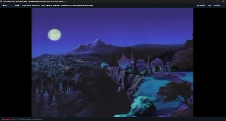 The Library player: the video with a top bar holding Prev, 2 / 4, Next, the title, Open externally, Folder, Fullscreen and close.