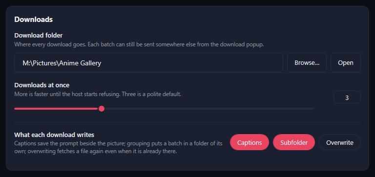 The Downloads card: the Download folder with Browse and Open, Downloads at once 3, and the Captions, Subfolder and Overwrite switches.
