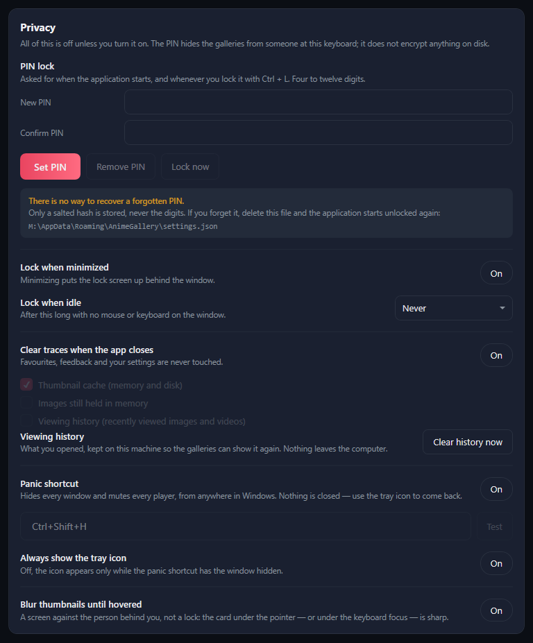 The Privacy card with no PIN set: New PIN and Confirm PIN, Set PIN, the lock options, Clear traces when the app closes, Viewing history, Panic shortcut Ctrl+Shift+H with Test, the tray icon and blur switches.