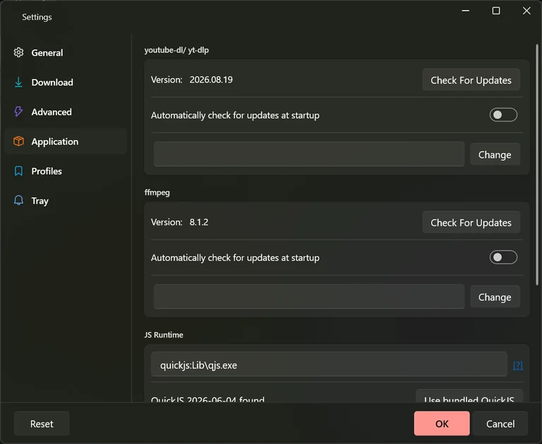 The Application tab with both tool versions listed and the JS runtime line reading that QuickJS was found.