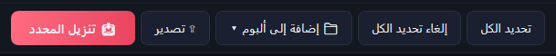 تحديد الكل، وإلغاء تحديد الكل، وإضافة إلى ألبوم، وتصدير، وتنزيل المحدد.