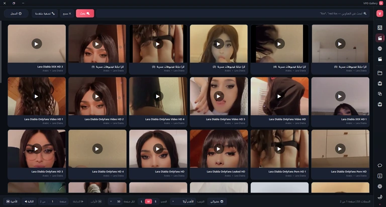صفحة الفيديو: شريط أدوات فيه مربع البحث وبحث ومسح وتصفية متقدمة والسجل، وشبكة من ملصقات الفيديو عليها رمز التشغيل، وتذييل فيه عدد السجلات وعشوائي والترتيب والحجم وعدد العناصر في الصفحة وأزرار الصفحات.