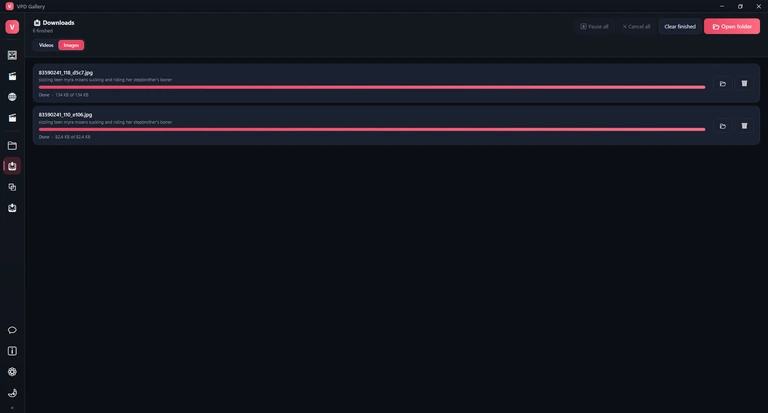 The Images tab with two finished picture downloads.