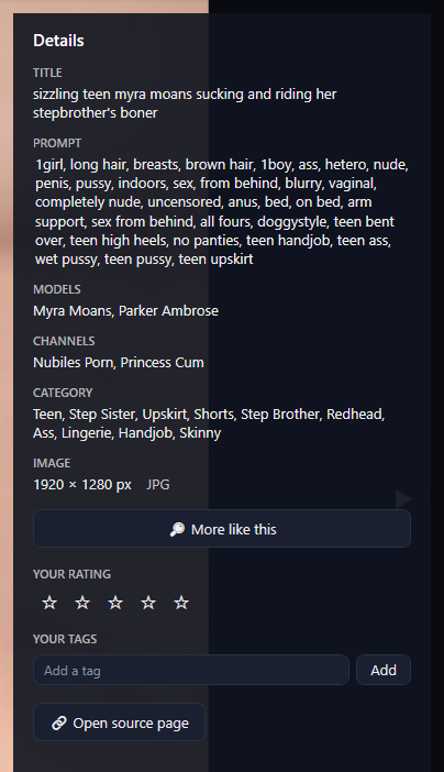 The details panel: Title, Prompt, Models, Channels, Category, Image 1920 × 1280 px JPG, More like this, the rating stars, the tag box and Open source page.